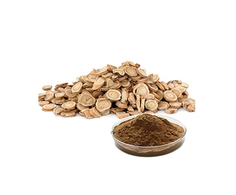 Traditional Chinese Medicine Herb Astragalus Extract / Astragalus Root Extract