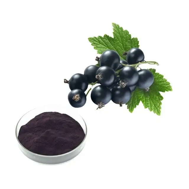 Black Currant Extract and Black Currant Juice Powder Complement Anthocyanin