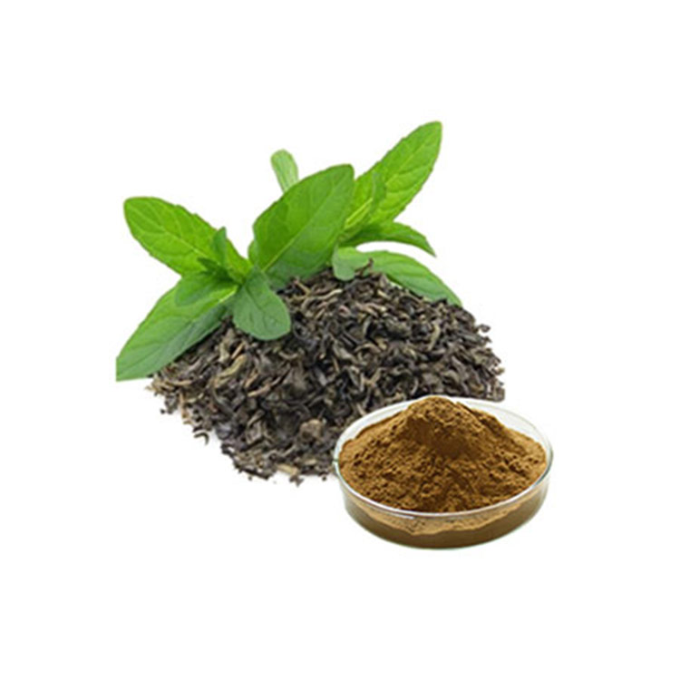  Green Tea Extract