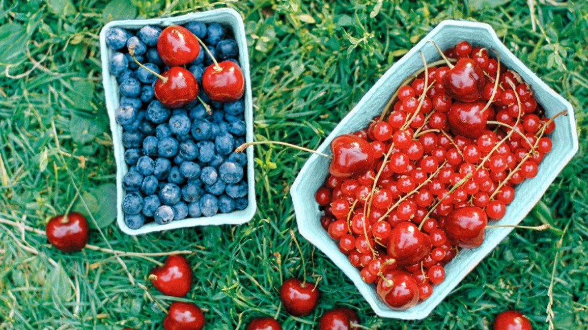Low Calorie Antioxidant Elderberry Extract Anthocyanins