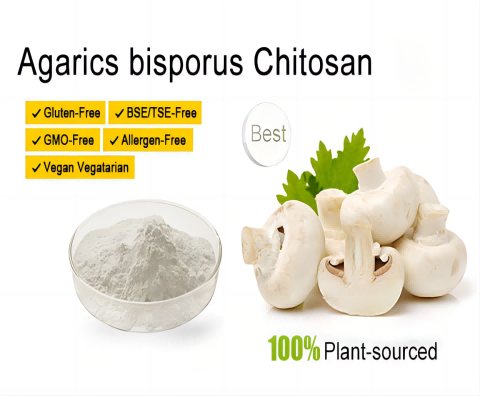 Vegetal Chitosan from Mushrooms
