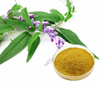 Sage Leaf Extract Powder 