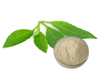 Notoginseng Leaf Extract
