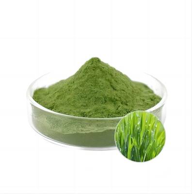 100% Natural Green Barley Grass Powder