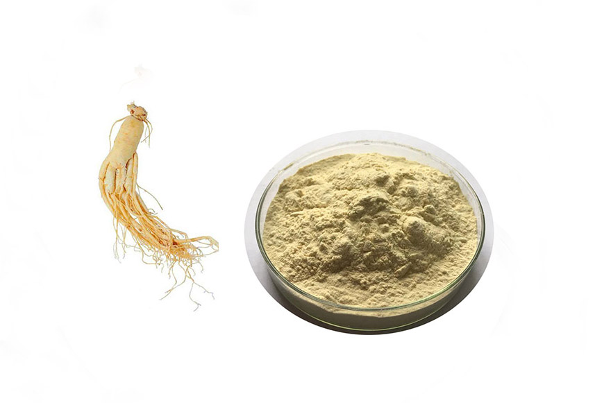 Boost Your Immunity With Yin Quality Ginseng-America Ginseng
