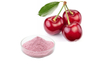 Tart Cherry Extract Powder