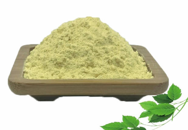 Chrysin Extract