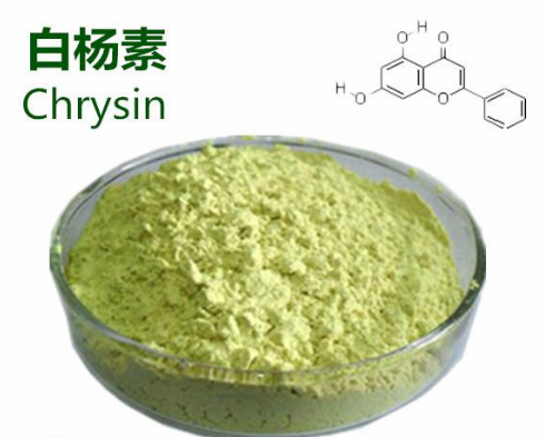 Chrysin Extract