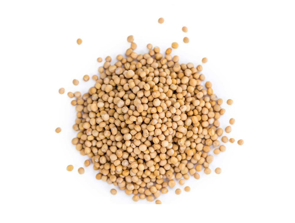 Mustard Seed Extract