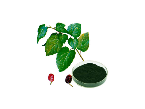 Sodium Copper Chlorophyllin