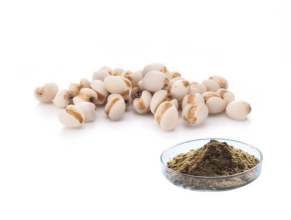 Semen Coiois Extract
