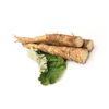 Burdock Root Extract