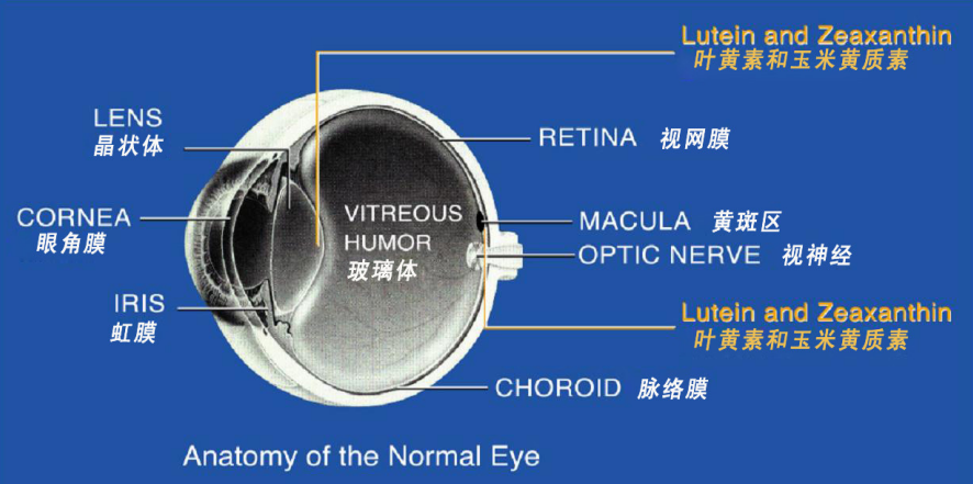 QQ图片20260130113710