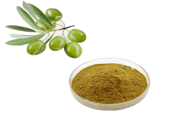 Olive Leaf Extract/Olive Extract
