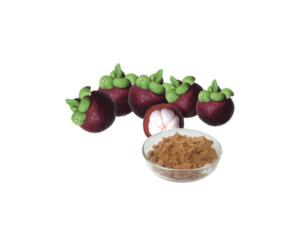 Mangosteen Extract