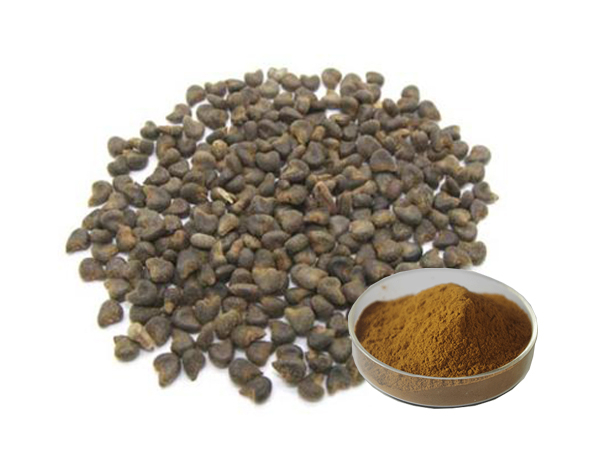 Malva Verticillata Extract