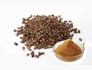 Cassia Seed Extract