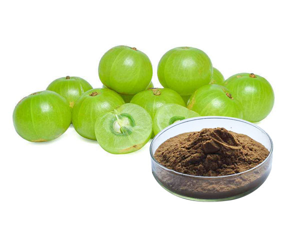 Phyllanthus Emblica Extract
