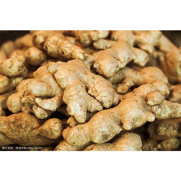 Organic Ginger Extract