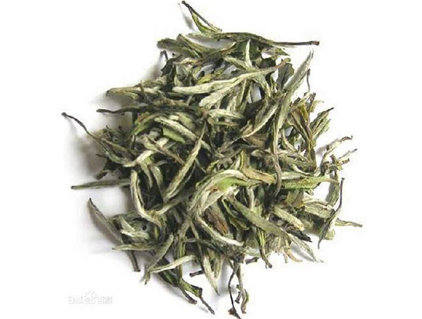White Tea Extract