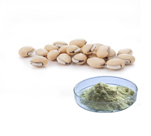 White Kidney Bean Extract