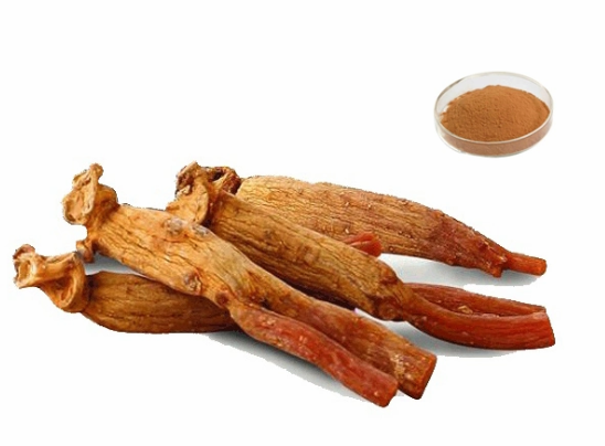 Korea Red Ginseng Extract 