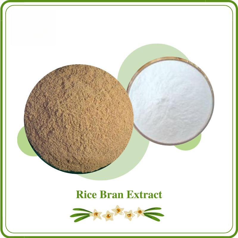 Policosanol from Rice Bran: Super Functional Ingredient