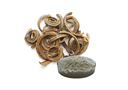 Magnolia Bark Extract