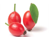 Rosehip Extract