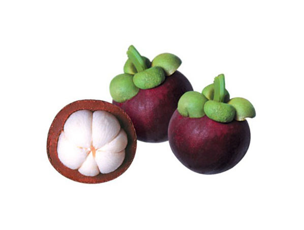 Mangosteen Extract
