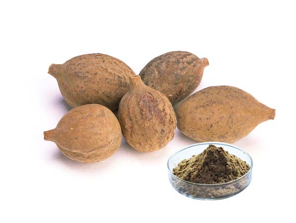 Terminalia Bellerica Extract