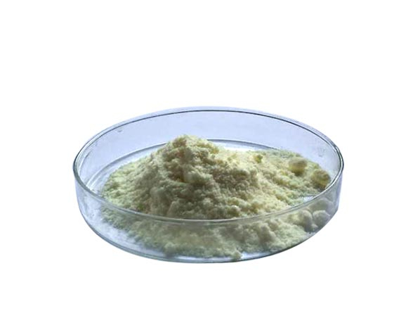 White Kidney Bean Extract