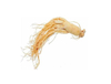 Ginseng Extract