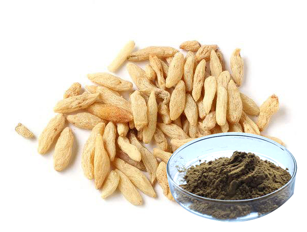 Ophiopogon Root Extract