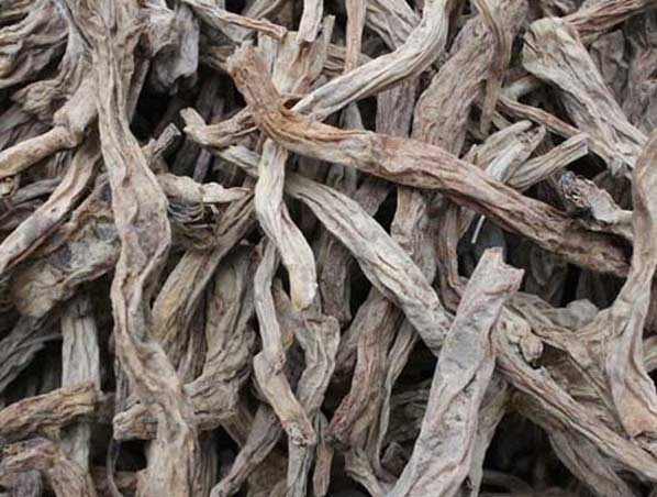 Stemona Extract