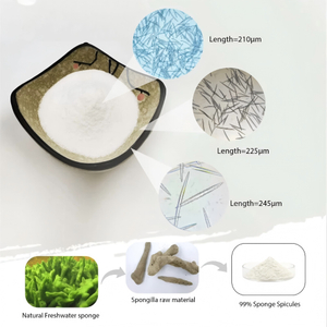 Sponge microneedle