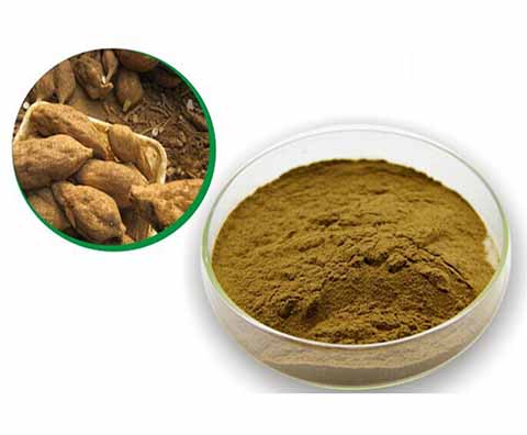 Kudzu Root Extract