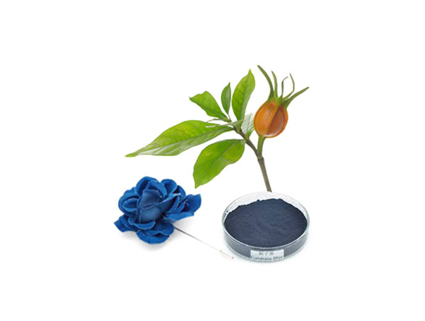 Gardenia Blue