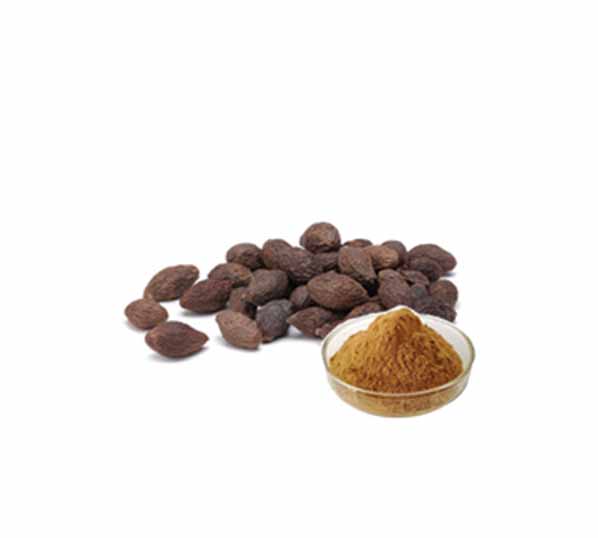 Boat-fruited Scaphium Seed Extract