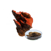 Antrodia Extract