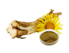 Elecampane Root Extract