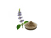 Coleus Forskohlii Extract