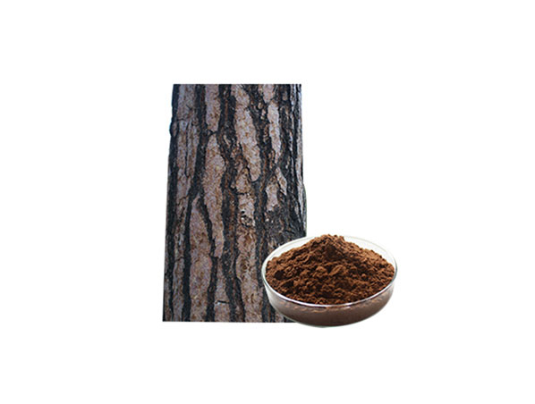 Pine Bark Extract