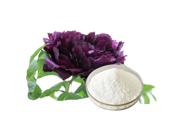Moutan Black Extract