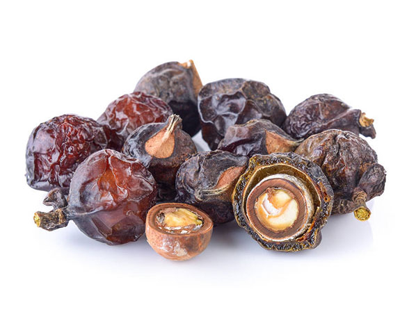Sapindus Extract