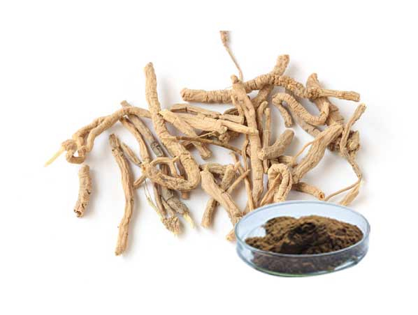 Siberian Milkwort Extract