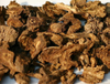 Notopterygium Root Extract