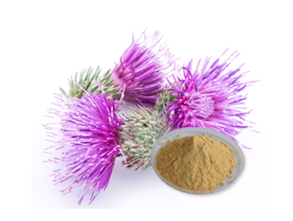 Milk Thistle Extract