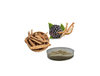 Siberian Ginseng Extract