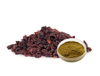 Cornus Officinals Extract